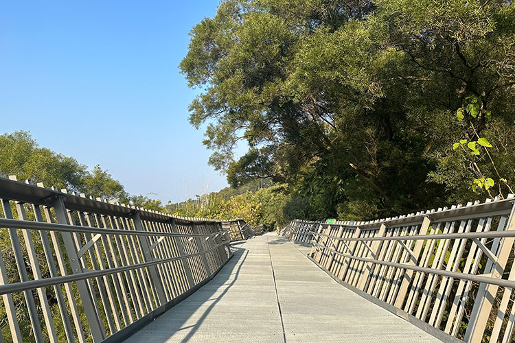 Kinesisk Fuzhou City Forest Pavement